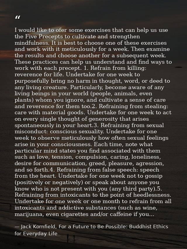 I would like to ofer some exercises that can help us use the Five Precepts to cultivate and strengthen mindfulness. It i — Jack Kornfield, For a Future to Be Possible: Buddhist Ethics for Everyday Life