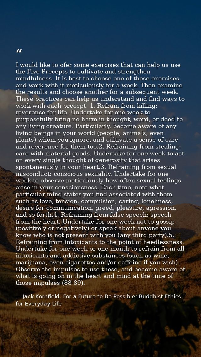 I would like to ofer some exercises that can help us use the Five Precepts to cultivate and strengthen mindfulness. It i — Jack Kornfield, For a Future to Be Possible: Buddhist Ethics for Everyday Life