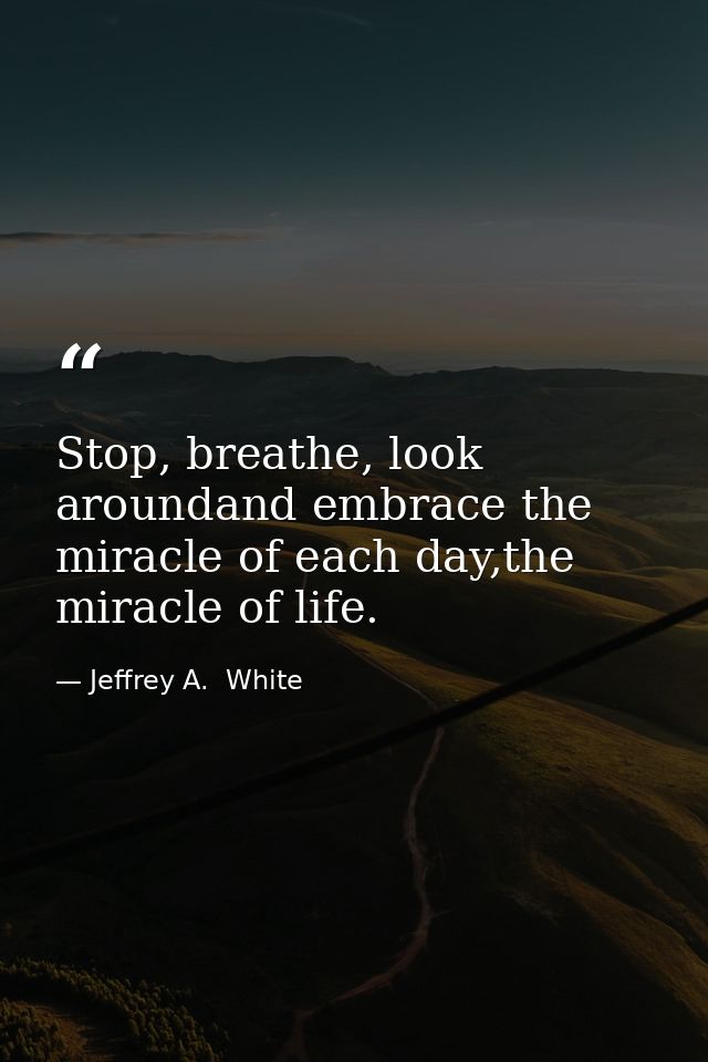 Stop, breathe, look aroundand embrace the miracle of each day,the miracle of life. — Jeffrey A.  White