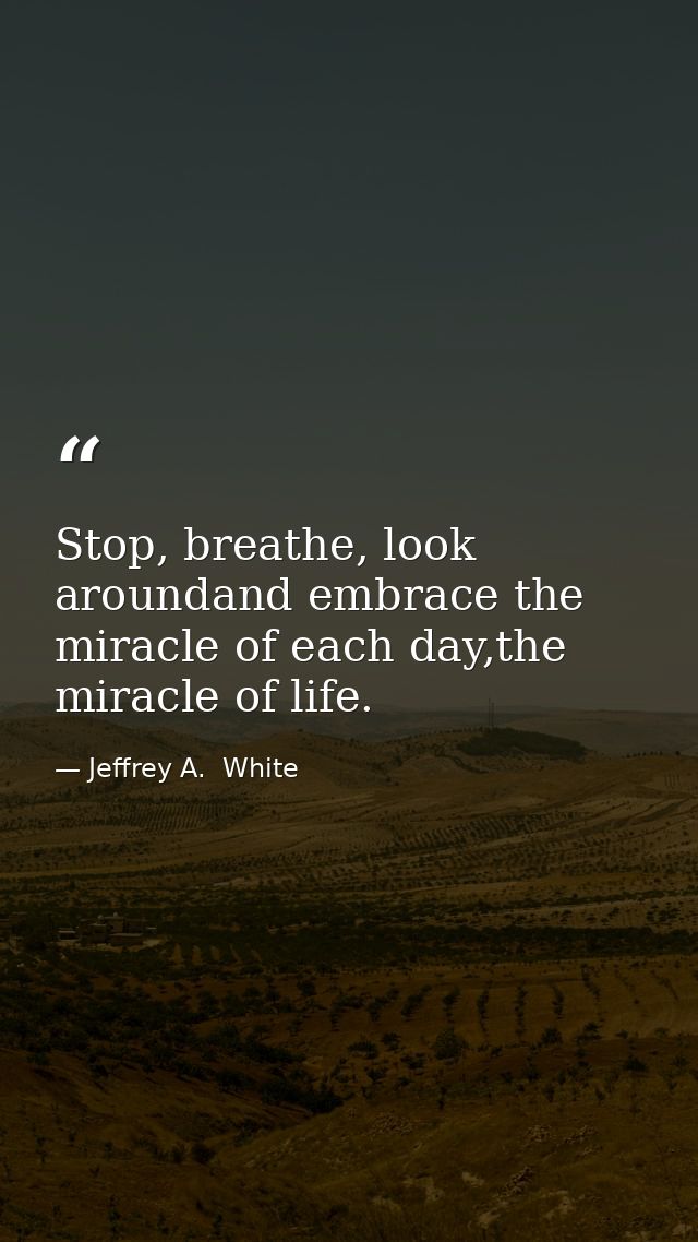 Stop, breathe, look aroundand embrace the miracle of each day,the miracle of life. — Jeffrey A.  White