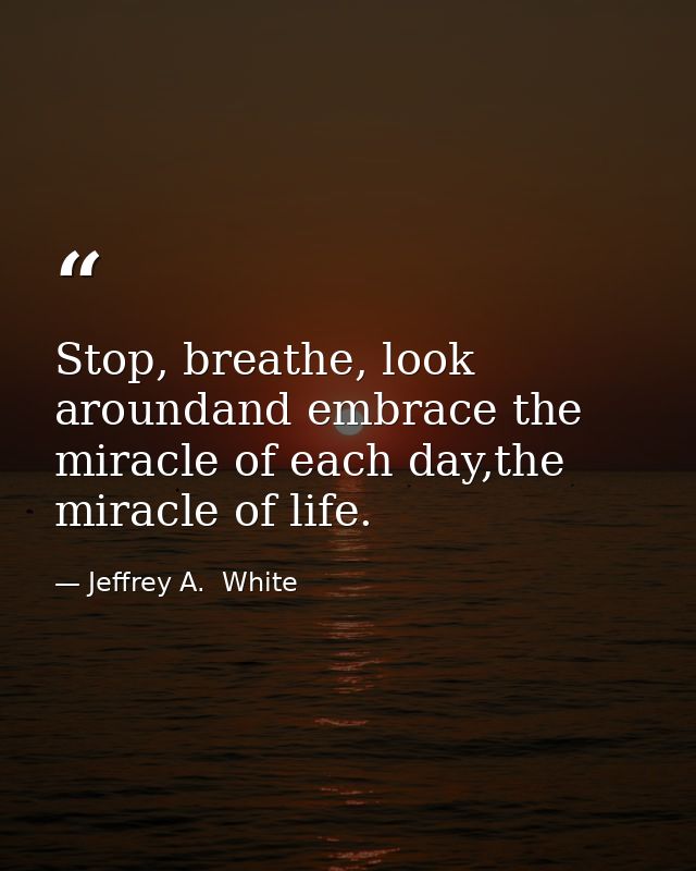 Stop, breathe, look aroundand embrace the miracle of each day,the miracle of life. — Jeffrey A.  White
