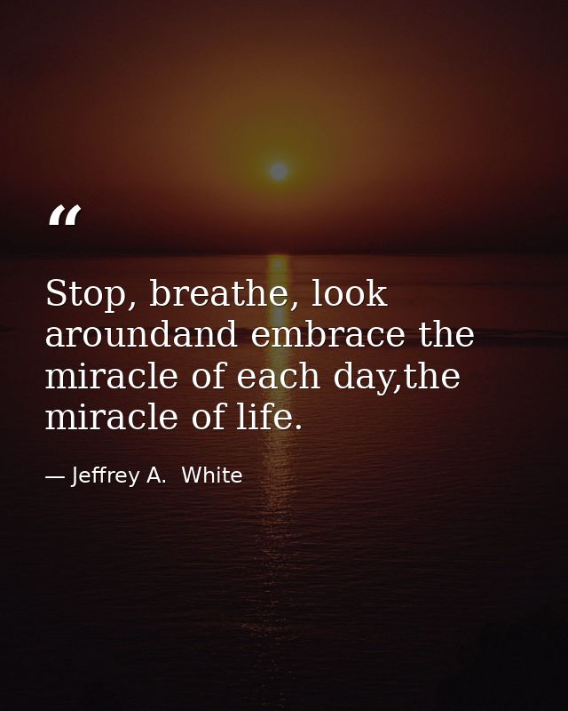 Stop, breathe, look aroundand embrace the miracle of each day,the miracle of life. — Jeffrey A.  White