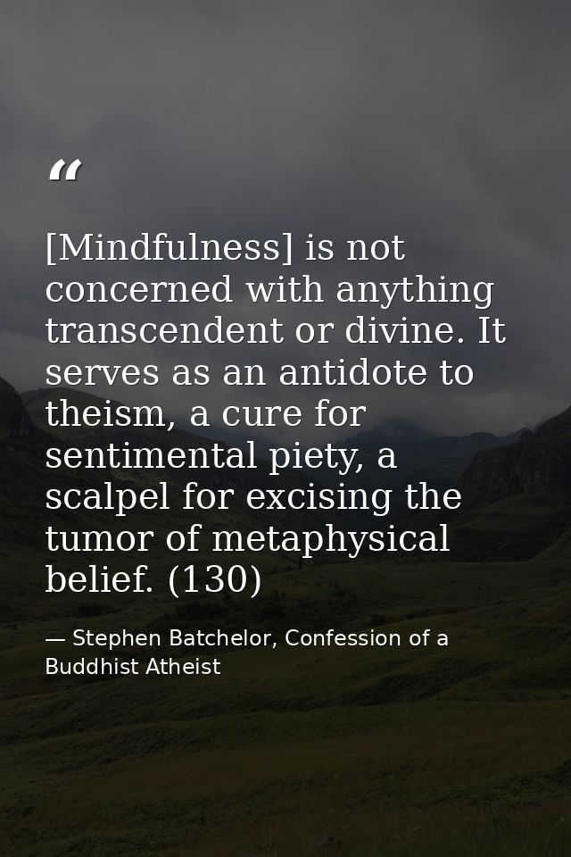 [Mindfulness] is not concerned with anything transcendent or divine. It serves as an antidote to theism, a cure for sent — Stephen Batchelor, Confession of a Buddhist Atheist