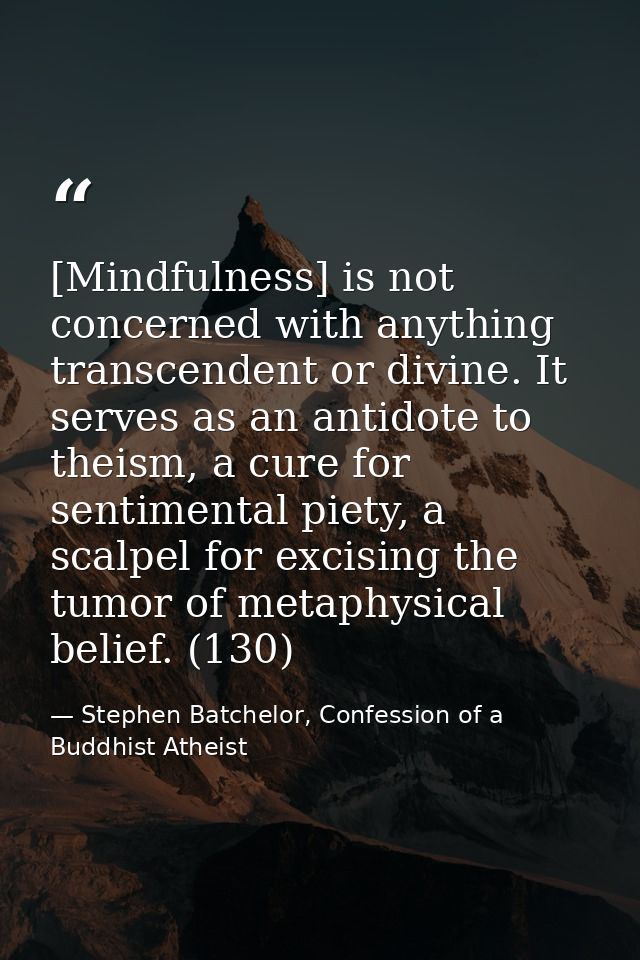 [Mindfulness] is not concerned with anything transcendent or divine. It serves as an antidote to theism, a cure for sent — Stephen Batchelor, Confession of a Buddhist Atheist