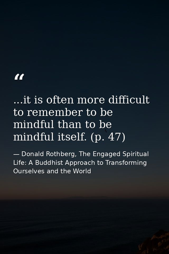 ...it is often more difficult to remember to be mindful than to be mindful itself. (p. 47) — Donald Rothberg, The Engaged Spiritual Life: A Buddhist Approach to Transforming Ourselves and the World