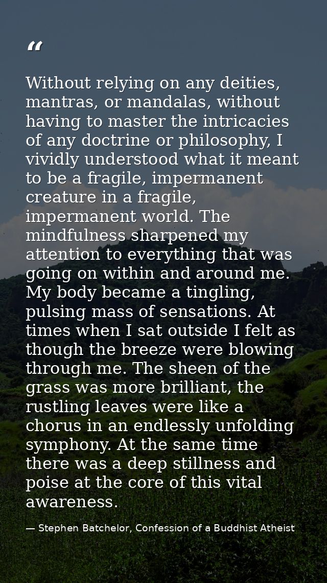 Without relying on any deities, mantras, or mandalas, without having to master the intricacies of any doctrine or philos — Stephen Batchelor, Confession of a Buddhist Atheist