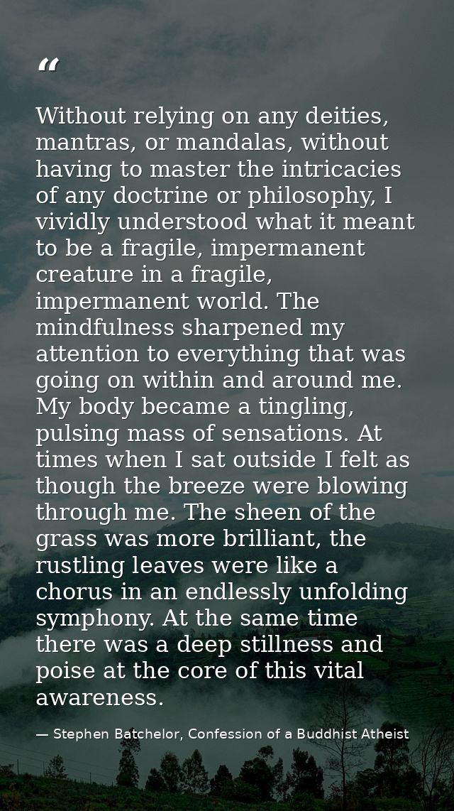 Without relying on any deities, mantras, or mandalas, without having to master the intricacies of any doctrine or philos — Stephen Batchelor, Confession of a Buddhist Atheist