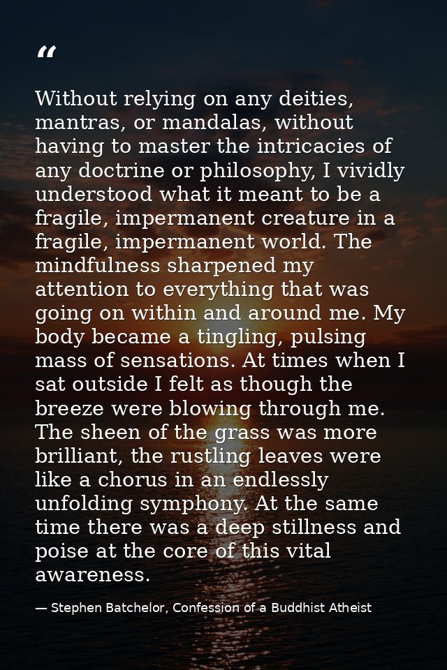 Without relying on any deities, mantras, or mandalas, without having to master the intricacies of any doctrine or philos — Stephen Batchelor, Confession of a Buddhist Atheist