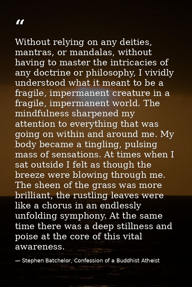 Without relying on any deities, mantras, or mandalas, without having to master the intricacies of any doctrine or philos — Stephen Batchelor, Confession of a Buddhist Atheist