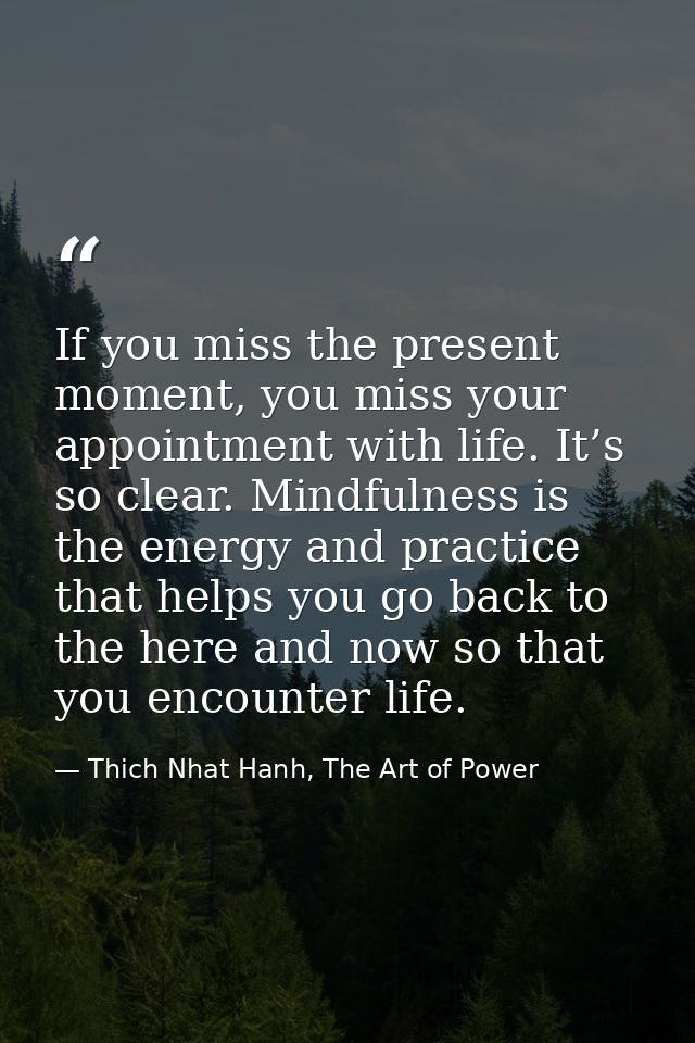 If you miss the present moment, you miss your appointment with life. It’s so clear. Mindfulness is the energy and practi — Thich Nhat Hanh, The Art of Power