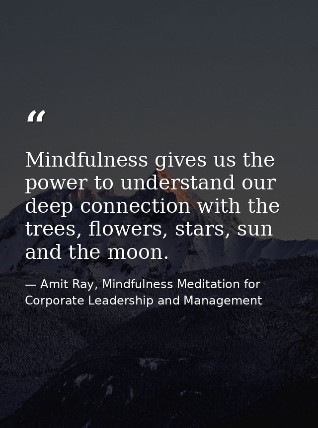 Mindfulness gives us the power to understand our deep connection with the trees, flowers, stars, sun and the moon. — Amit Ray, Mindfulness Meditation for Corporate Leadership and Management