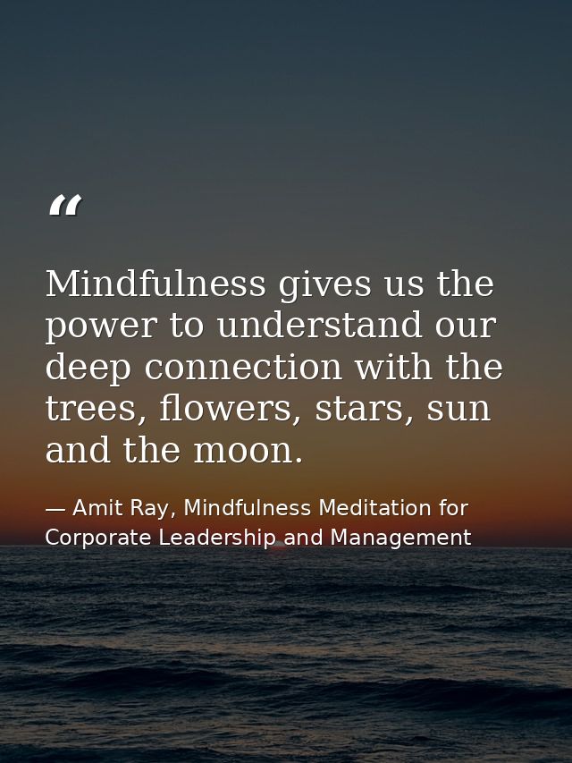 Mindfulness gives us the power to understand our deep connection with the trees, flowers, stars, sun and the moon. — Amit Ray, Mindfulness Meditation for Corporate Leadership and Management