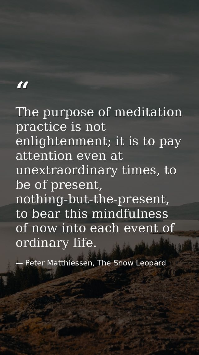 The purpose of meditation practice is not enlightenment; it is to pay attention even at unextraordinary times, to be of  — Peter Matthiessen, The Snow Leopard