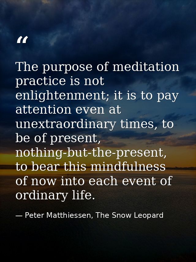 The purpose of meditation practice is not enlightenment; it is to pay attention even at unextraordinary times, to be of  — Peter Matthiessen, The Snow Leopard