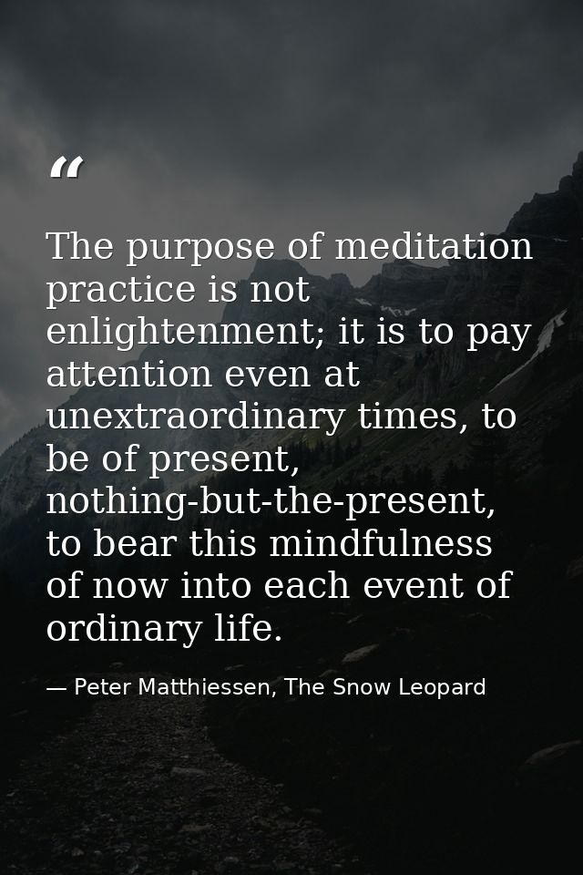 The purpose of meditation practice is not enlightenment; it is to pay attention even at unextraordinary times, to be of  — Peter Matthiessen, The Snow Leopard