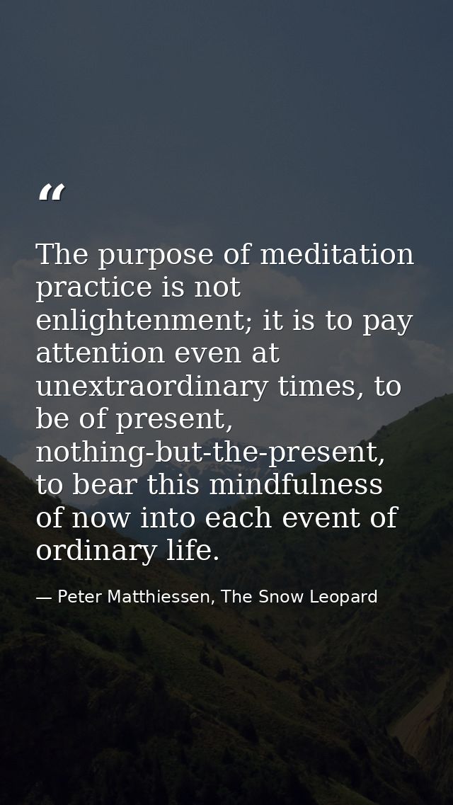 The purpose of meditation practice is not enlightenment; it is to pay attention even at unextraordinary times, to be of  — Peter Matthiessen, The Snow Leopard