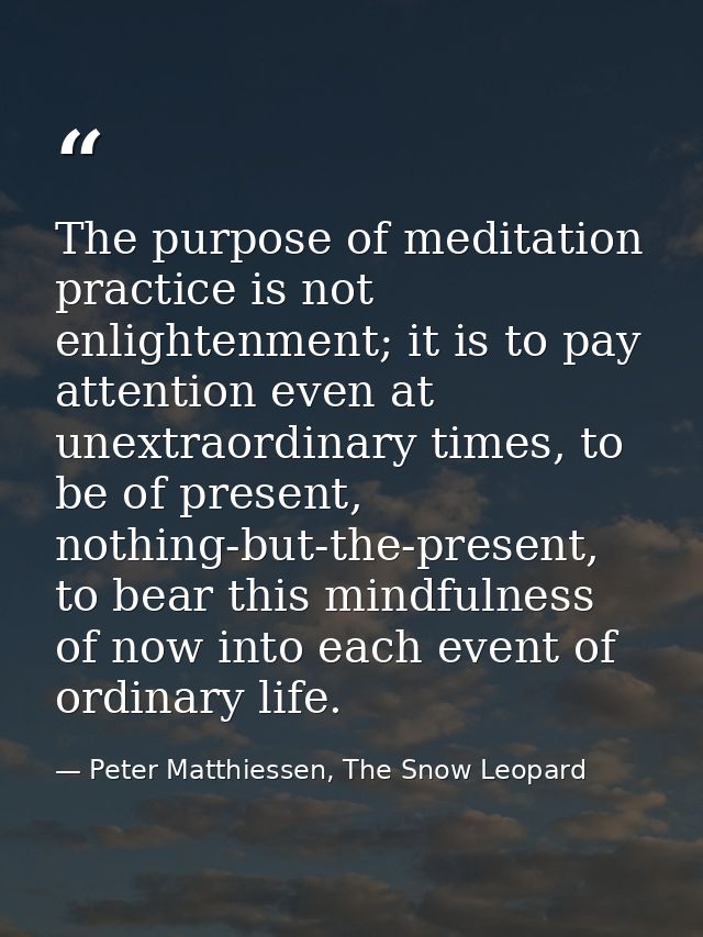 The purpose of meditation practice is not enlightenment; it is to pay attention even at unextraordinary times, to be of  — Peter Matthiessen, The Snow Leopard