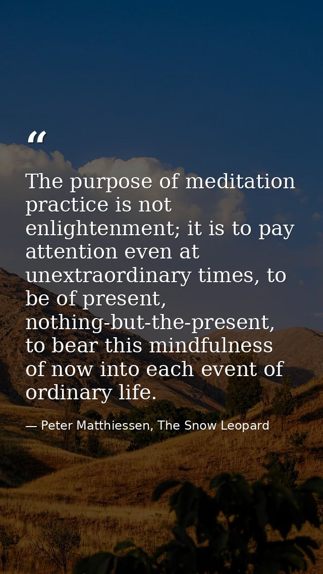 The purpose of meditation practice is not enlightenment; it is to pay attention even at unextraordinary times, to be of  — Peter Matthiessen, The Snow Leopard
