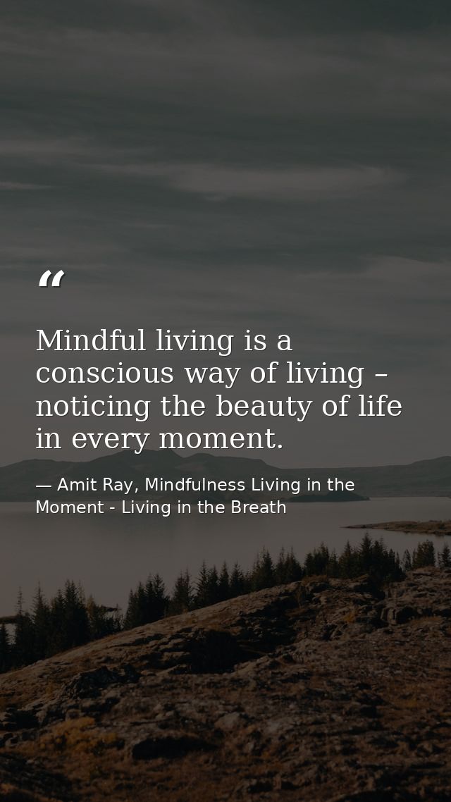 Mindful living is a conscious way of living – noticing the beauty of life in every moment. — Amit Ray, Mindfulness Living in the Moment - Living in the Breath