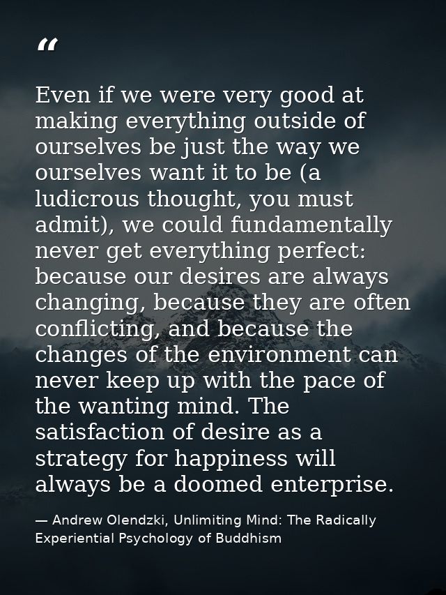 Even if we were very good at making everything outside of ourselves be just the way we ourselves want it to be (a ludicr — Andrew Olendzki, Unlimiting Mind: The Radically Experiential Psychology of Buddhism