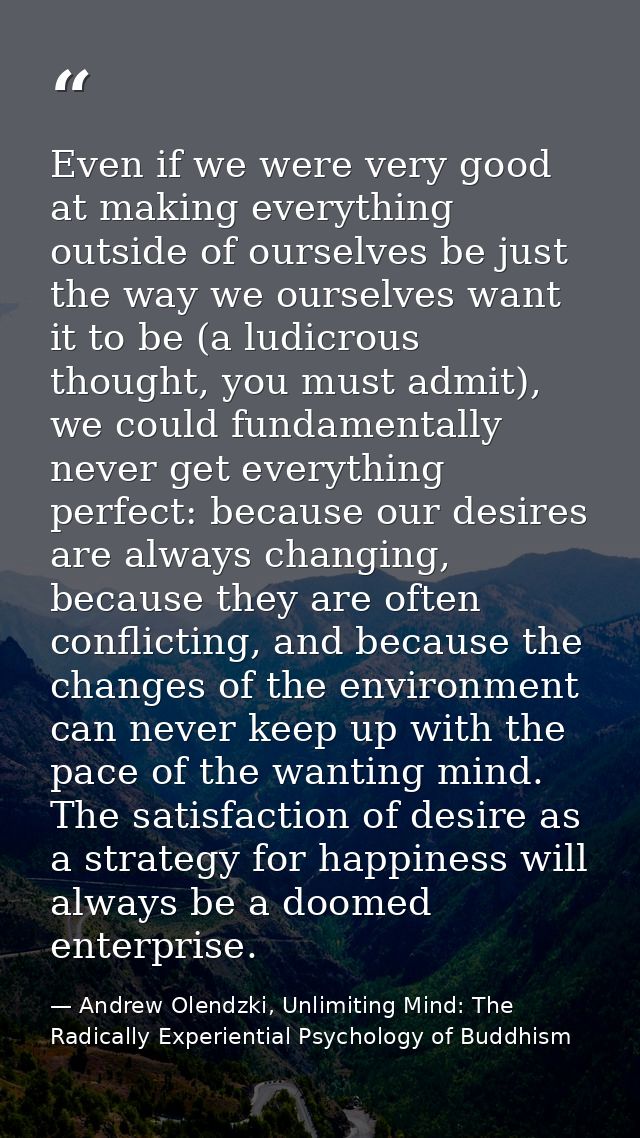 Even if we were very good at making everything outside of ourselves be just the way we ourselves want it to be (a ludicr — Andrew Olendzki, Unlimiting Mind: The Radically Experiential Psychology of Buddhism