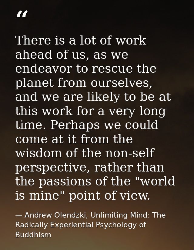 There is a lot of work ahead of us, as we endeavor to rescue the planet from ourselves, and we are likely to be at this  — Andrew Olendzki, Unlimiting Mind: The Radically Experiential Psychology of Buddhism