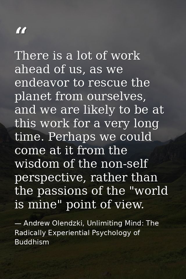 There is a lot of work ahead of us, as we endeavor to rescue the planet from ourselves, and we are likely to be at this  — Andrew Olendzki, Unlimiting Mind: The Radically Experiential Psychology of Buddhism