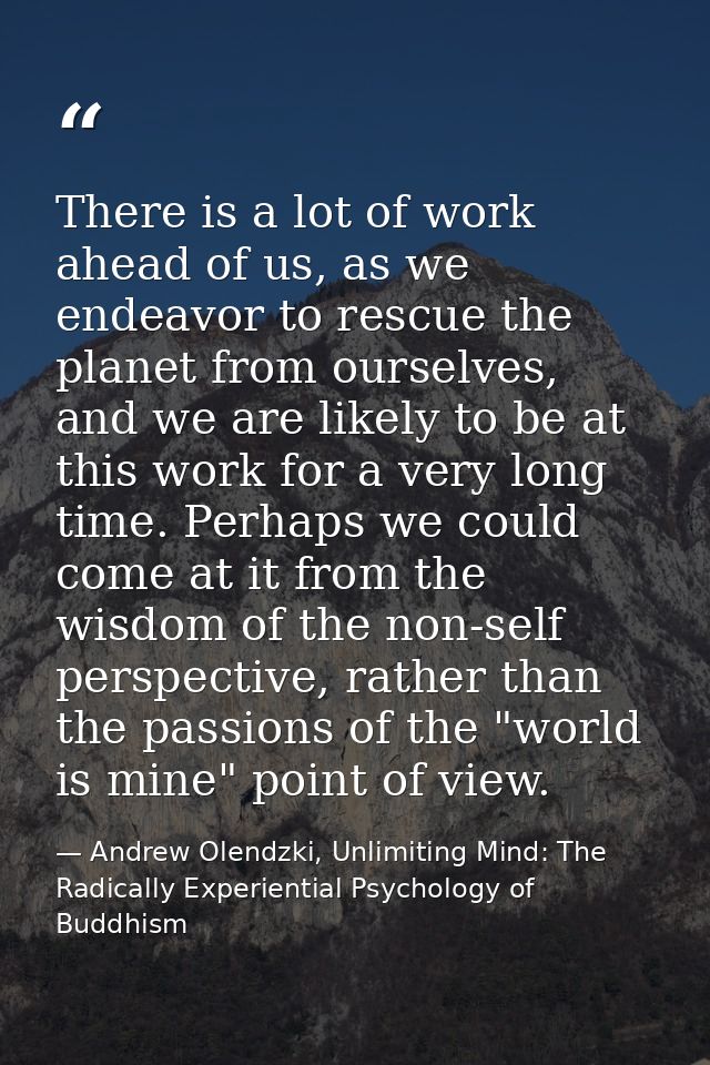 There is a lot of work ahead of us, as we endeavor to rescue the planet from ourselves, and we are likely to be at this  — Andrew Olendzki, Unlimiting Mind: The Radically Experiential Psychology of Buddhism