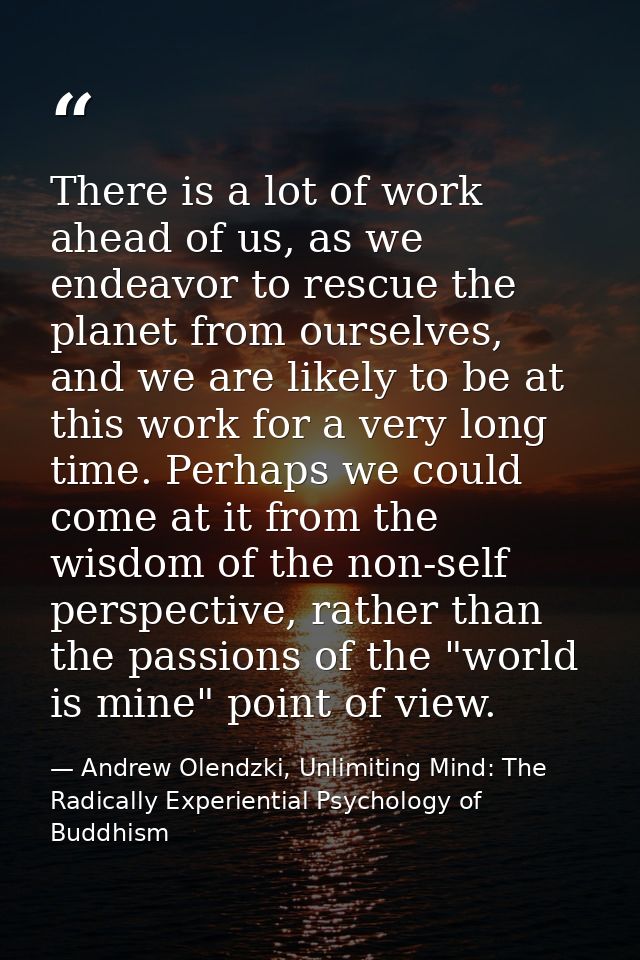 There is a lot of work ahead of us, as we endeavor to rescue the planet from ourselves, and we are likely to be at this  — Andrew Olendzki, Unlimiting Mind: The Radically Experiential Psychology of Buddhism