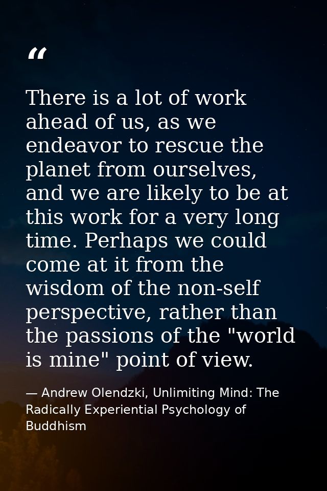 There is a lot of work ahead of us, as we endeavor to rescue the planet from ourselves, and we are likely to be at this  — Andrew Olendzki, Unlimiting Mind: The Radically Experiential Psychology of Buddhism