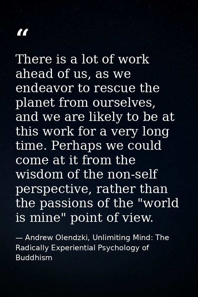 There is a lot of work ahead of us, as we endeavor to rescue the planet from ourselves, and we are likely to be at this  — Andrew Olendzki, Unlimiting Mind: The Radically Experiential Psychology of Buddhism