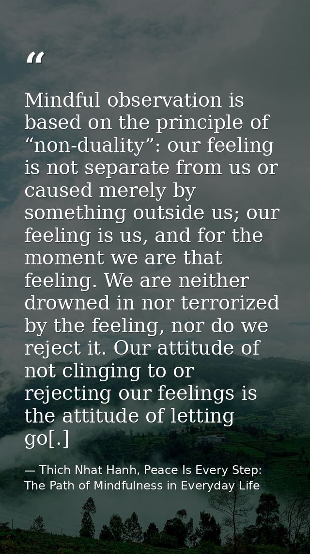 Mindful observation is based on the principle of “non-duality”: our feeling is not separate from us or caused merely by  — Thich Nhat Hanh, Peace Is Every Step: The Path of Mindfulness in Everyday Life