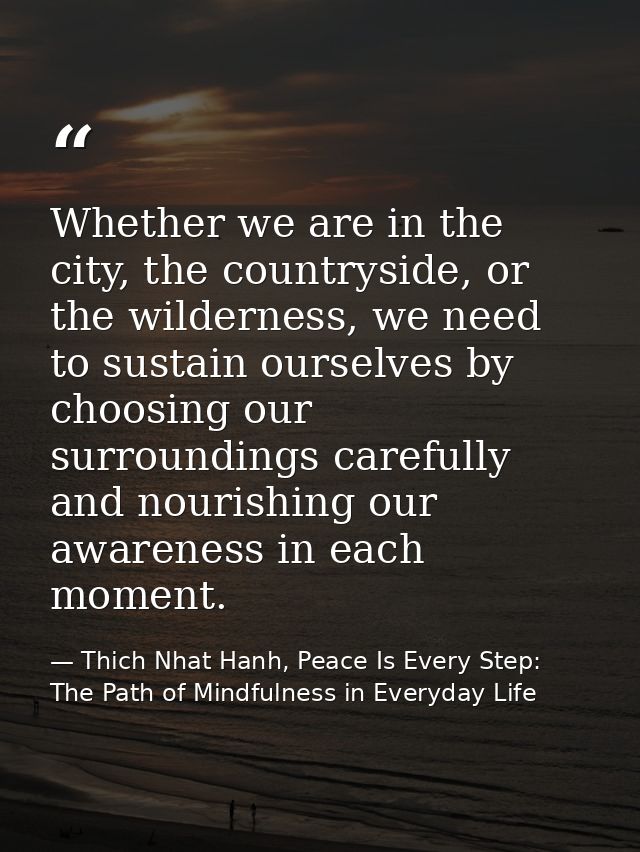Whether we are in the city, the countryside, or the wilderness, we need to sustain ourselves by choosing our surrounding — Thich Nhat Hanh, Peace Is Every Step: The Path of Mindfulness in Everyday Life