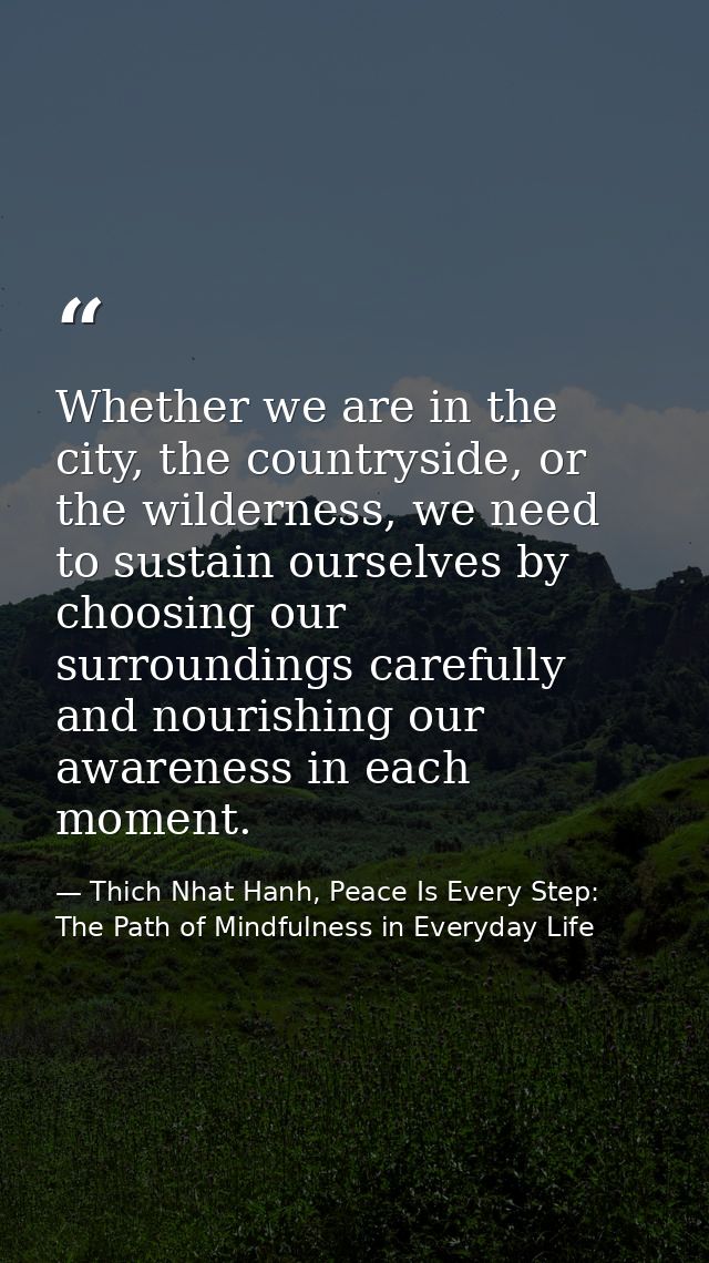 Whether we are in the city, the countryside, or the wilderness, we need to sustain ourselves by choosing our surrounding — Thich Nhat Hanh, Peace Is Every Step: The Path of Mindfulness in Everyday Life