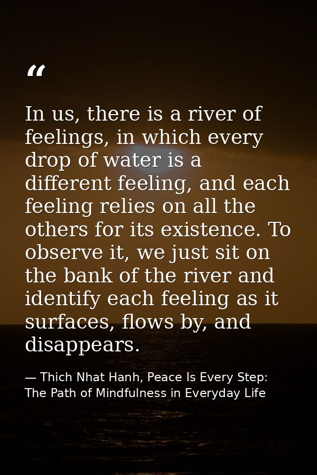 In us, there is a river of feelings, in which every drop of water is a different feeling, and each feeling relies on all — Thich Nhat Hanh, Peace Is Every Step: The Path of Mindfulness in Everyday Life