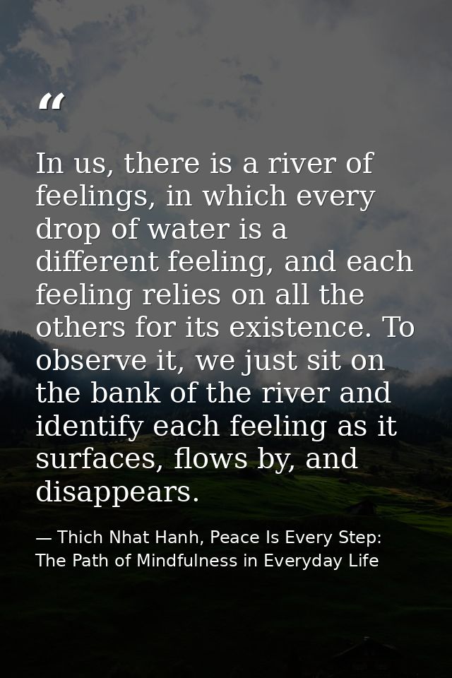 In us, there is a river of feelings, in which every drop of water is a different feeling, and each feeling relies on all — Thich Nhat Hanh, Peace Is Every Step: The Path of Mindfulness in Everyday Life