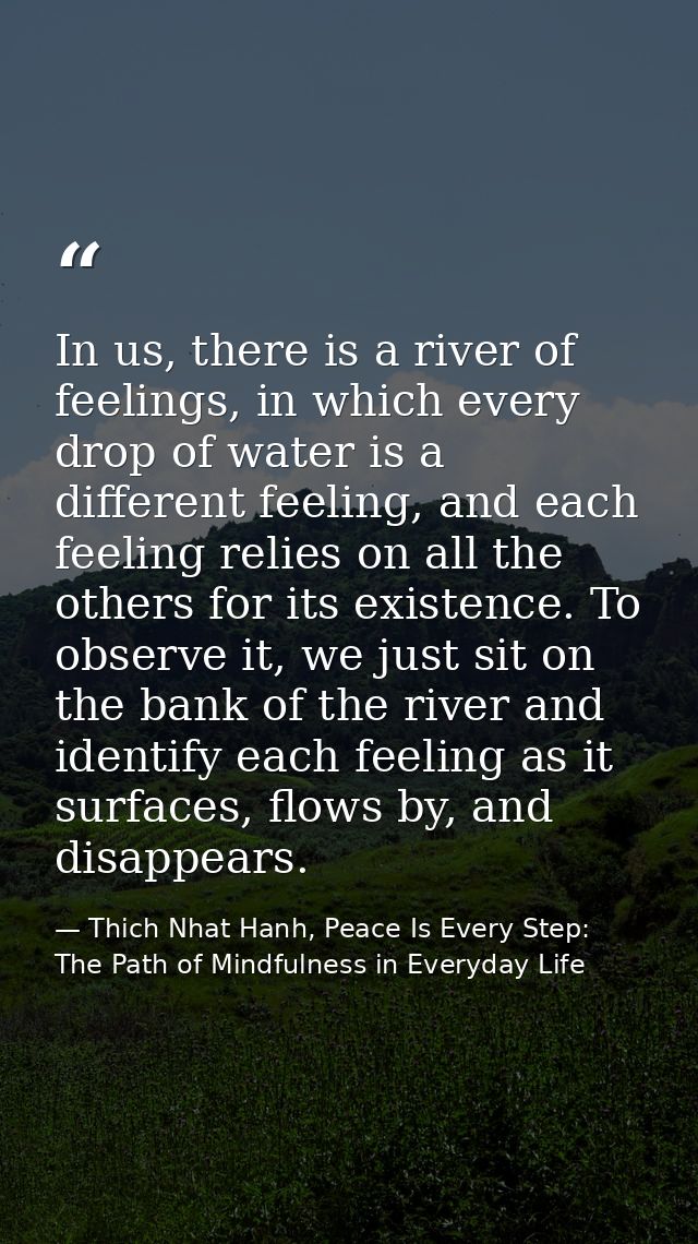 In us, there is a river of feelings, in which every drop of water is a different feeling, and each feeling relies on all — Thich Nhat Hanh, Peace Is Every Step: The Path of Mindfulness in Everyday Life