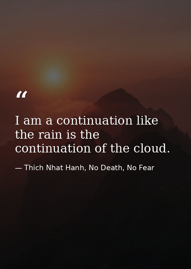 I am a continuation like the rain is the continuation of the cloud. — Thich Nhat Hanh, No Death, No Fear