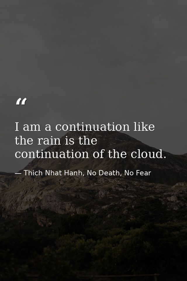 I am a continuation like the rain is the continuation of the cloud. — Thich Nhat Hanh, No Death, No Fear