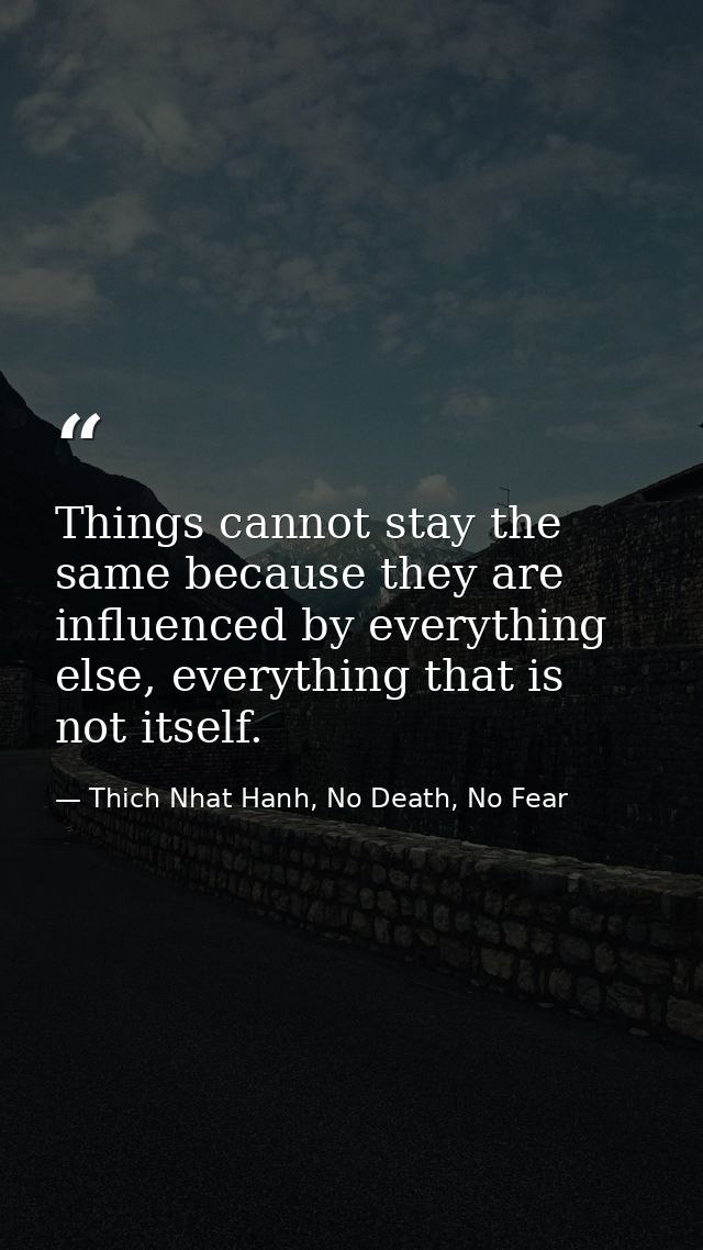 Things cannot stay the same because they are influenced by everything else, everything that is not itself. — Thich Nhat Hanh, No Death, No Fear