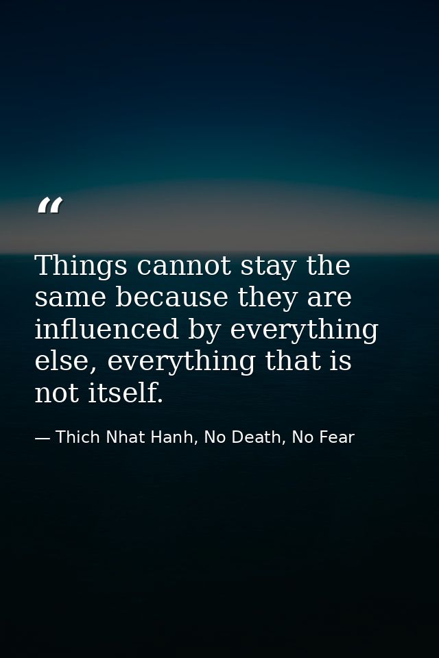 Things cannot stay the same because they are influenced by everything else, everything that is not itself. — Thich Nhat Hanh, No Death, No Fear
