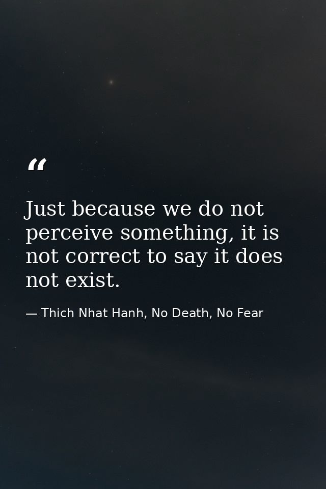 Just because we do not perceive something, it is not correct to say it does not exist. — Thich Nhat Hanh, No Death, No Fear