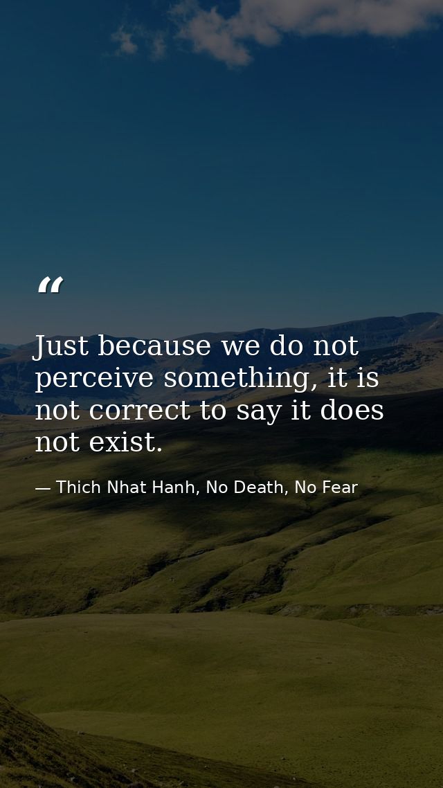 Just because we do not perceive something, it is not correct to say it does not exist. — Thich Nhat Hanh, No Death, No Fear