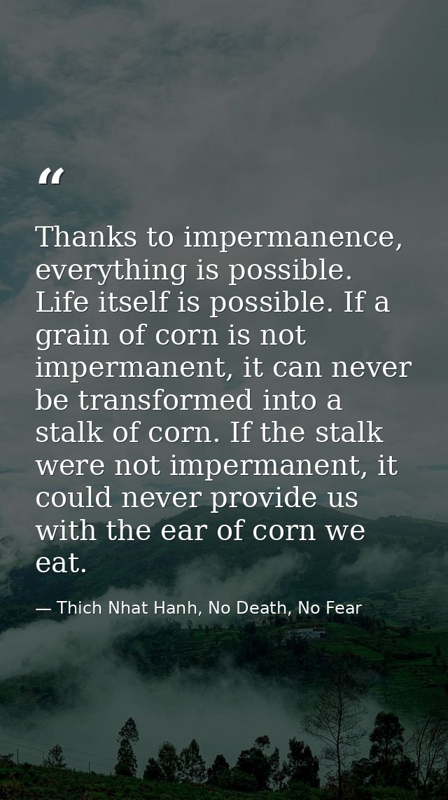 Thanks to impermanence, everything is possible. Life itself is possible. If a grain of corn is not impermanent, it can n — Thich Nhat Hanh, No Death, No Fear