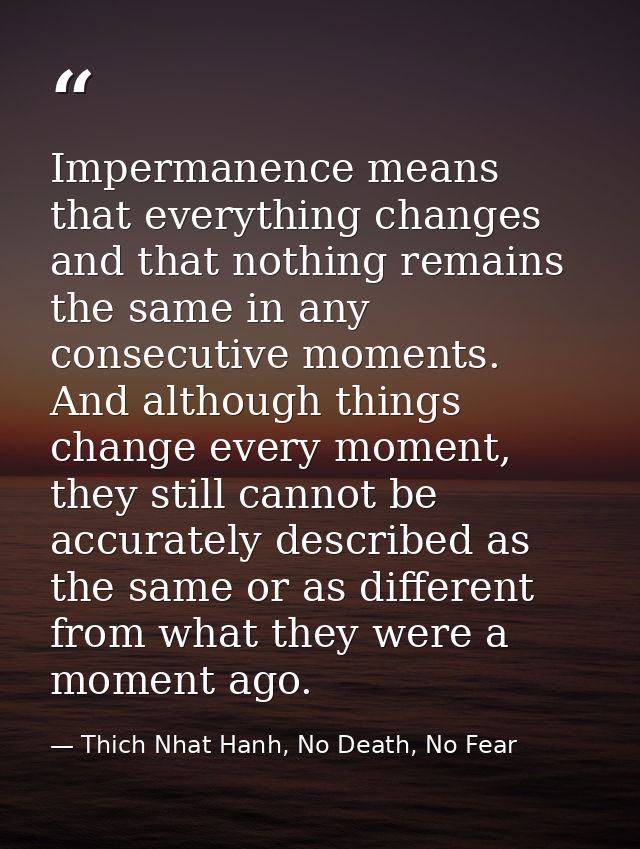 Impermanence means that everything changes and that nothing remains the same in any consecutive moments. And although th — Thich Nhat Hanh, No Death, No Fear