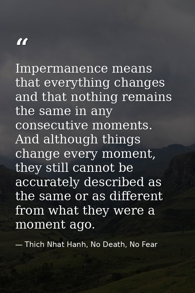 Impermanence means that everything changes and that nothing remains the same in any consecutive moments. And although th — Thich Nhat Hanh, No Death, No Fear