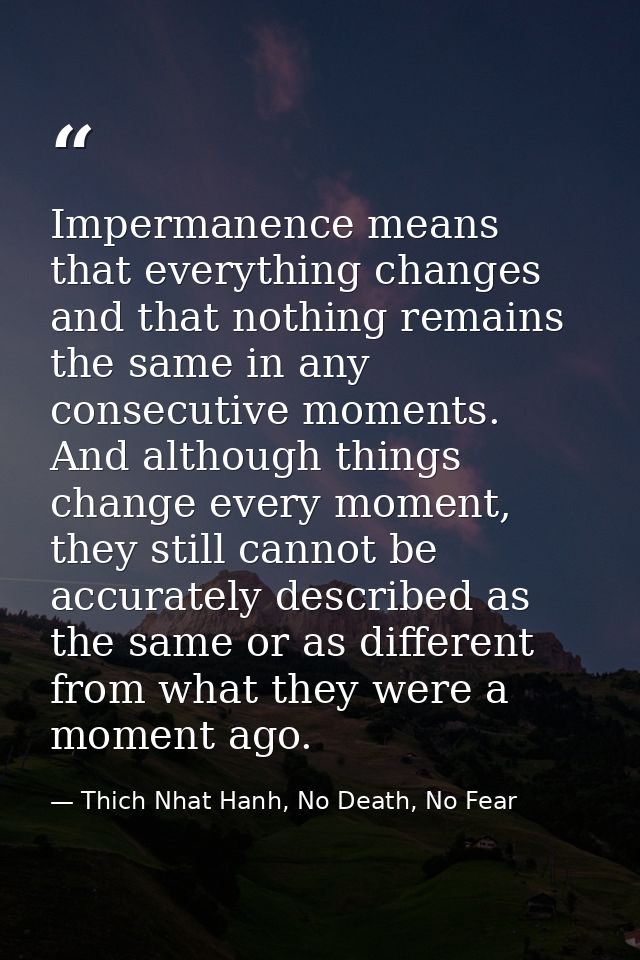 Impermanence means that everything changes and that nothing remains the same in any consecutive moments. And although th — Thich Nhat Hanh, No Death, No Fear