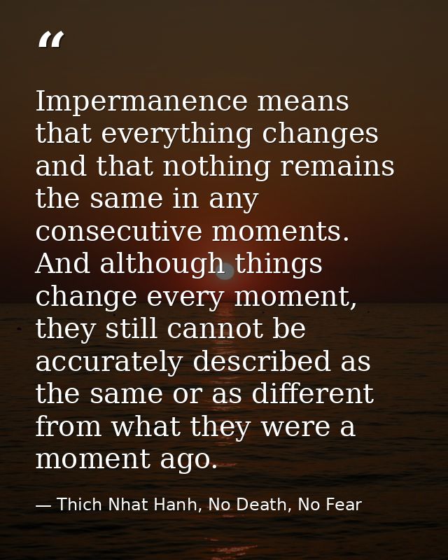 Impermanence means that everything changes and that nothing remains the same in any consecutive moments. And although th — Thich Nhat Hanh, No Death, No Fear