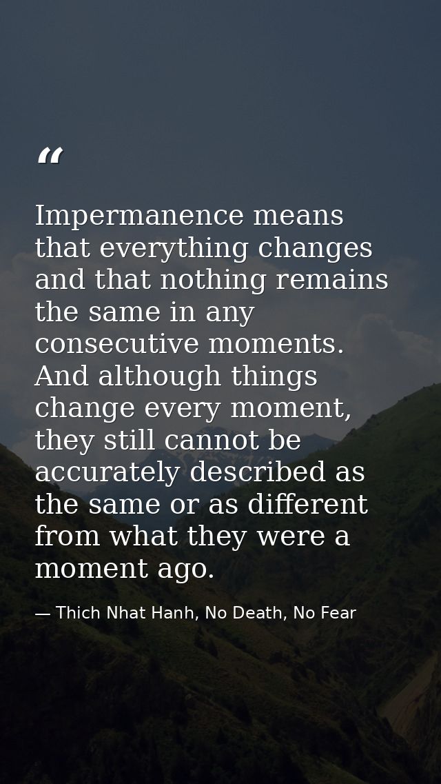 Impermanence means that everything changes and that nothing remains the same in any consecutive moments. And although th — Thich Nhat Hanh, No Death, No Fear