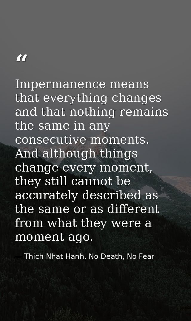 Impermanence means that everything changes and that nothing remains the same in any consecutive moments. And although th — Thich Nhat Hanh, No Death, No Fear